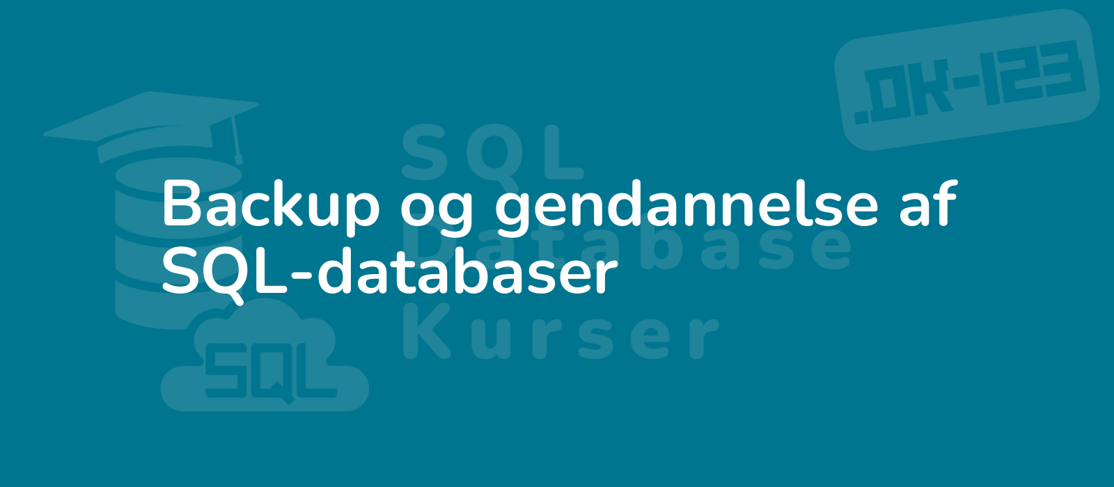 professional it expert conducting sql database backup and recovery showcasing technical expertise and data security