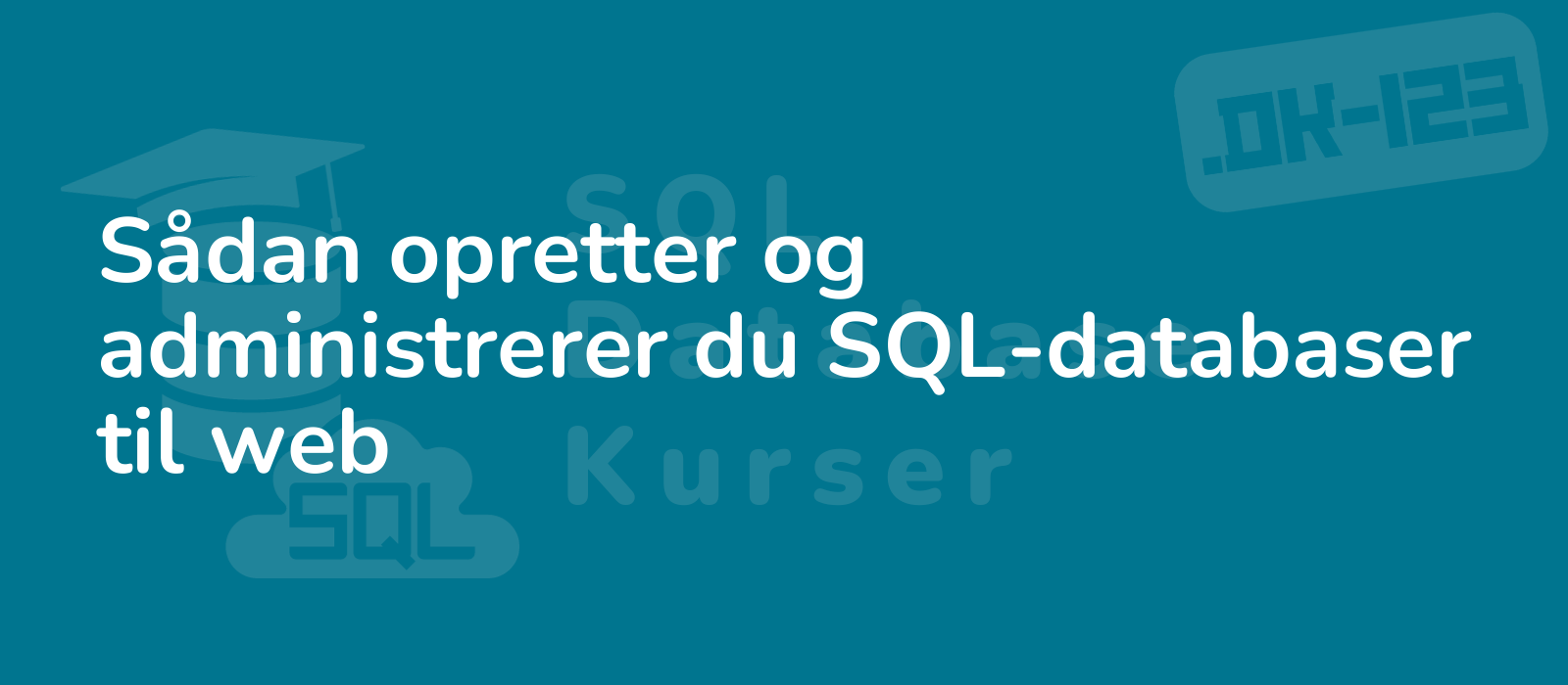 expert web developer setting up and managing sql databases showcasing efficiency and expertise with a professional touch